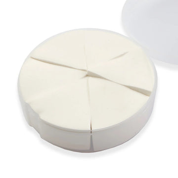 Grafting Practice Sponge ( 6Pcs/ Box)